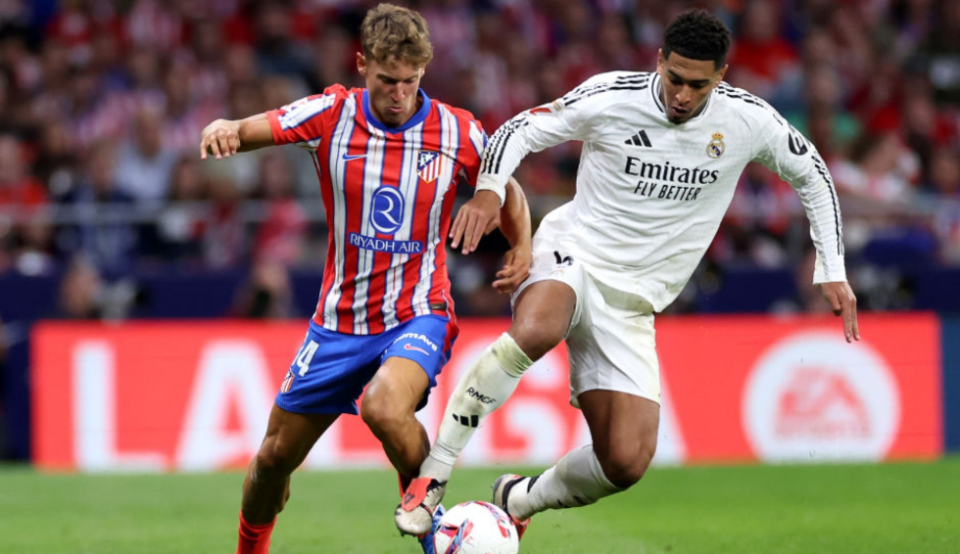 决定性变量 决定性变量