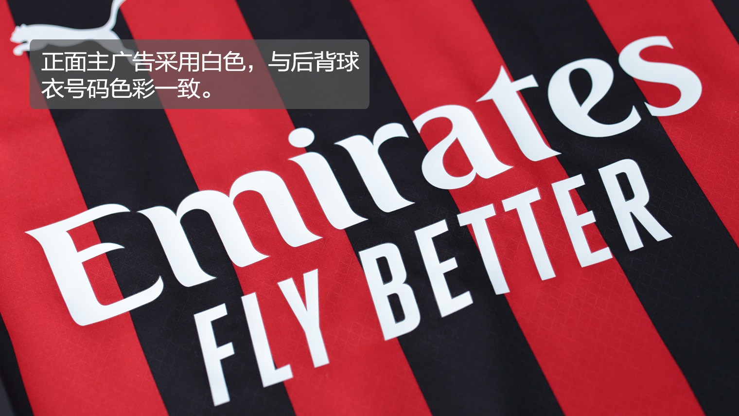 将法律责任 将法律责任